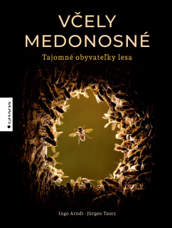 Včely medonosné/Tajomné obyvateľky lesa